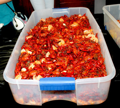 The crawfish are prepared and ready to eat.