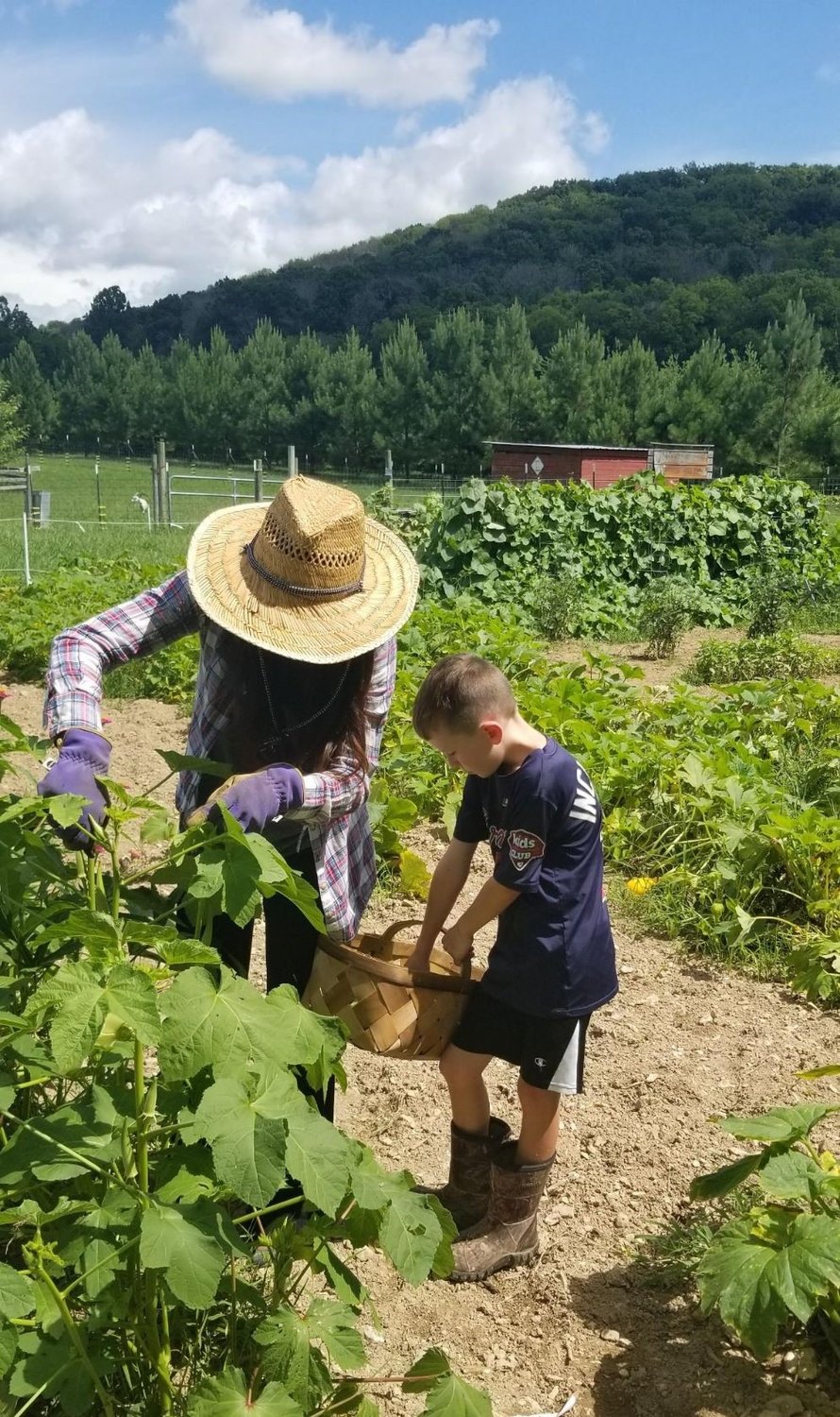 Jennifer Maddox and son, Stone, have their heads bent as they work to harvest their garden. Stone enjoys helping with the canning process.