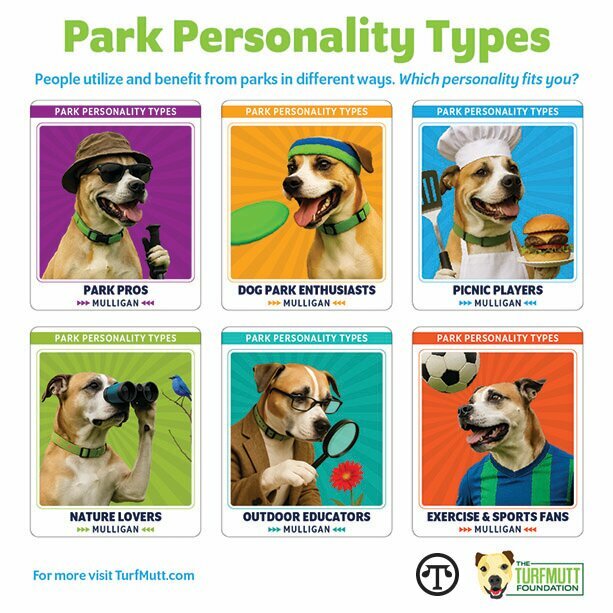 What’s your park personality?