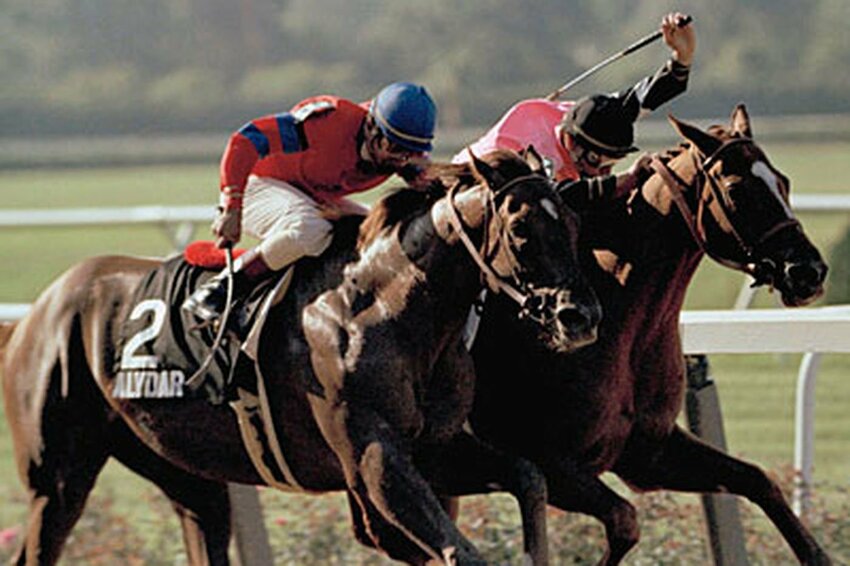 Alydar running neck and neck with his rival, Affirmed, at one of the 1978 Triple Crown races. In 1990, Alydar was euthanized at his home in Calumet Farm under suspicious circumstances surrounding the financial collapse of its owner.