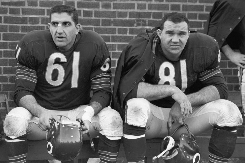 Doug Atkins (#81), the ferocious 6'8 defensive end who played for the Chicago Bears from 1955-'66. Sitting next to him is linebacker, Bill George.