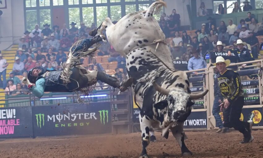 A bull rider is tossed off his beast at a Professional Bull Riders competition, which now has 10 teams in its league.