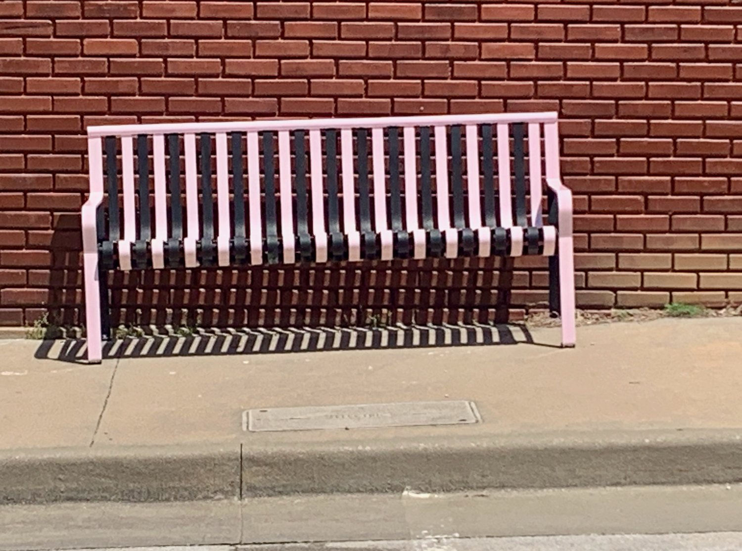 Pictured is the bench that Truitt allegedly painted in May.