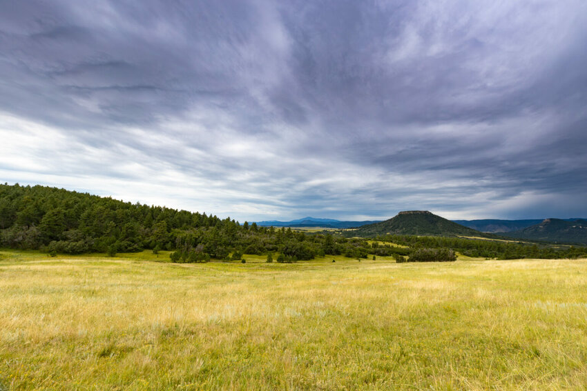 Colorado Cattlemen’s Agricultural Land Trust (CCALT) is strongly urging Congress to pass the 2024 Farm Bill before the end of the year.