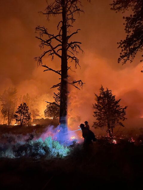 The Firewise program in Saguache County can help homeowners prepare for wildfires.