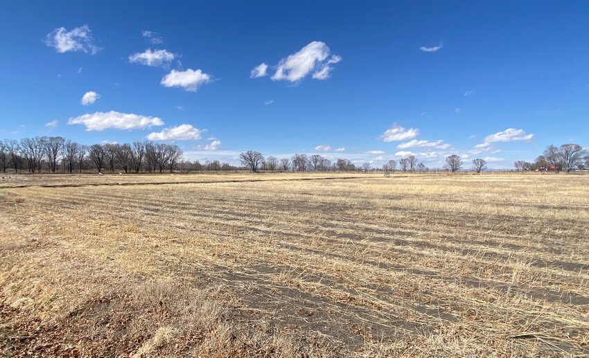 The fields at the Rio Grande Farm Park on a recent afternoon.  