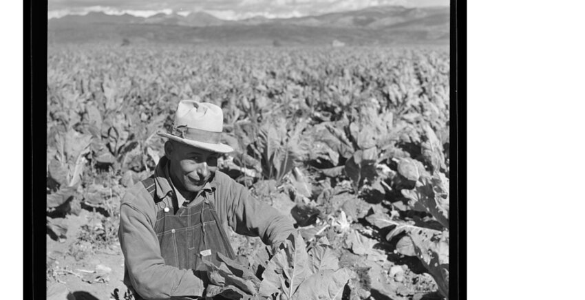 In this photo, titled ‘Wife of Resettlement,’ Rothstein captures these two women in the San Luis Valley who had resettled to the Valley under the Farm Security Administration.  