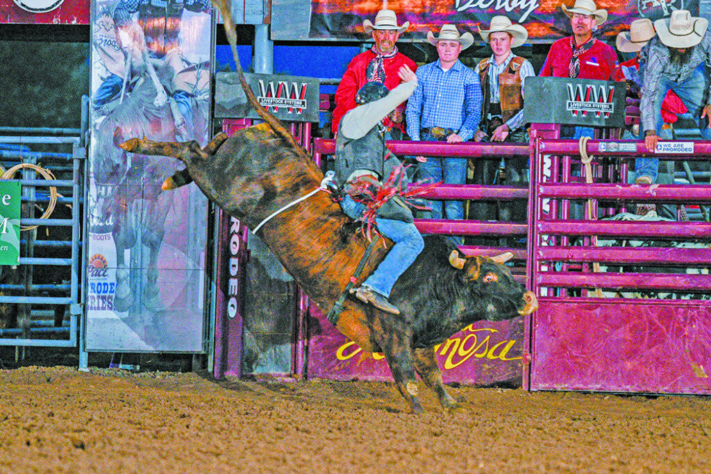 Bulls Have Upper Hand At Round-UP - The Alamosa News