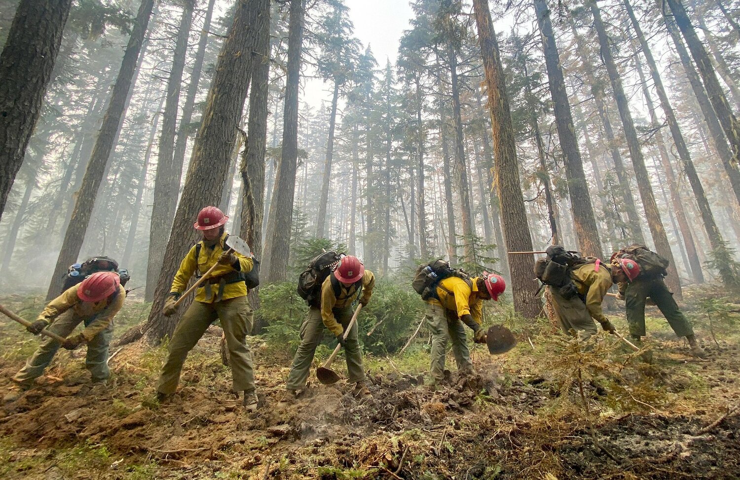 Federal firefighters are digging a fire line. 
