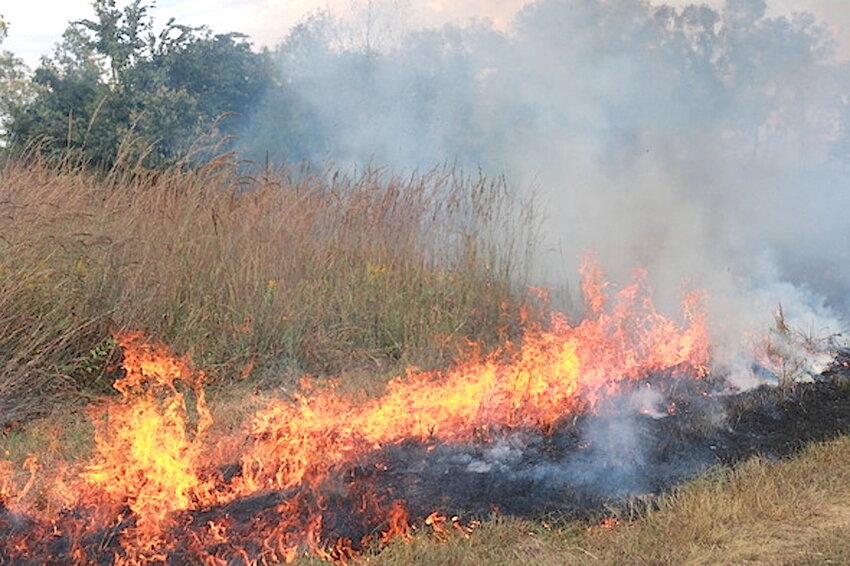 Burning as a tool
Learn to use prescribed fire as a land management tool with MDC Saturday, Jan. 11, in Gravois Mills.