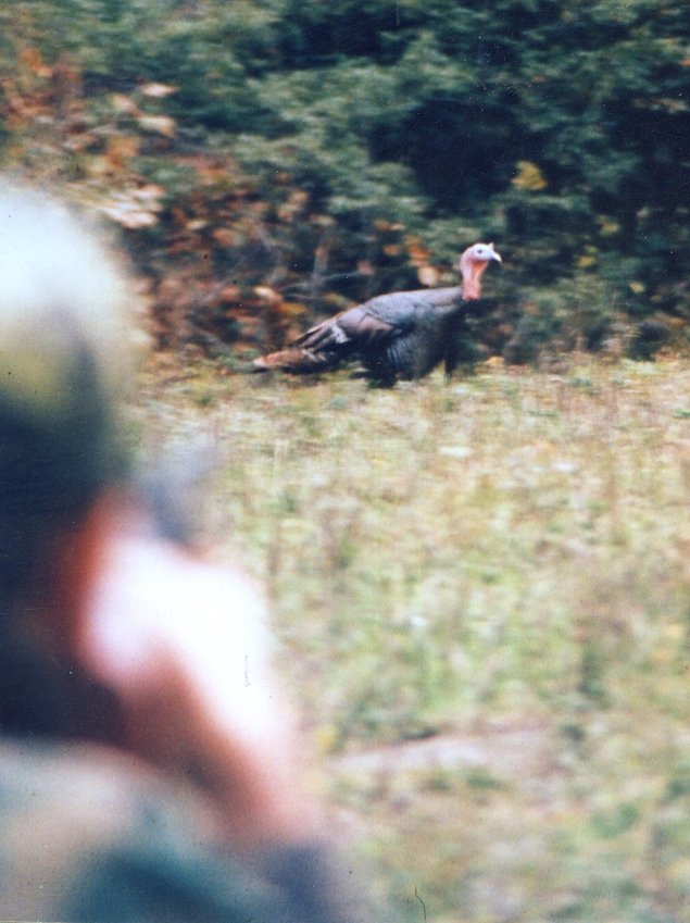The future of turkey hunting may depend on cutting down the harvest of spring gobblers, and that can&rsquo;t be done without costing game and fish agencies money.  Some way will have to be found to do that so that money remains in those agencies or it will never happen.