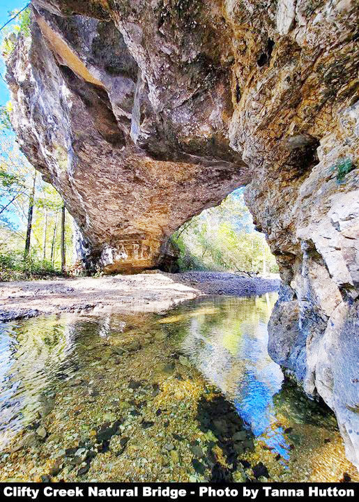 The most dramatic feature of the Clifty Creek Natural Area in Maries County is a natural bridge. It has a span of about 40 feet that was created by a tributary of Clifty Creek carving through Gasconade dolomite. The natural bridge is a destination for hikers, which is over a mile from the parking lot for the area, which is found on MCR 511.