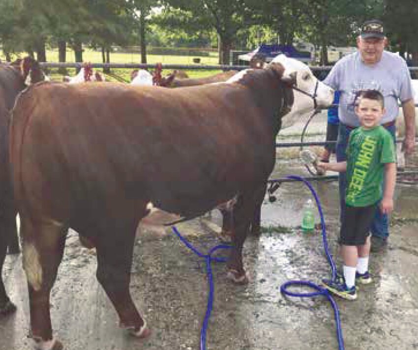 Garry Mistler and his great-grandson at the Belle Fair. Three generations are now helping market bulls at cattle shows across Missouri.